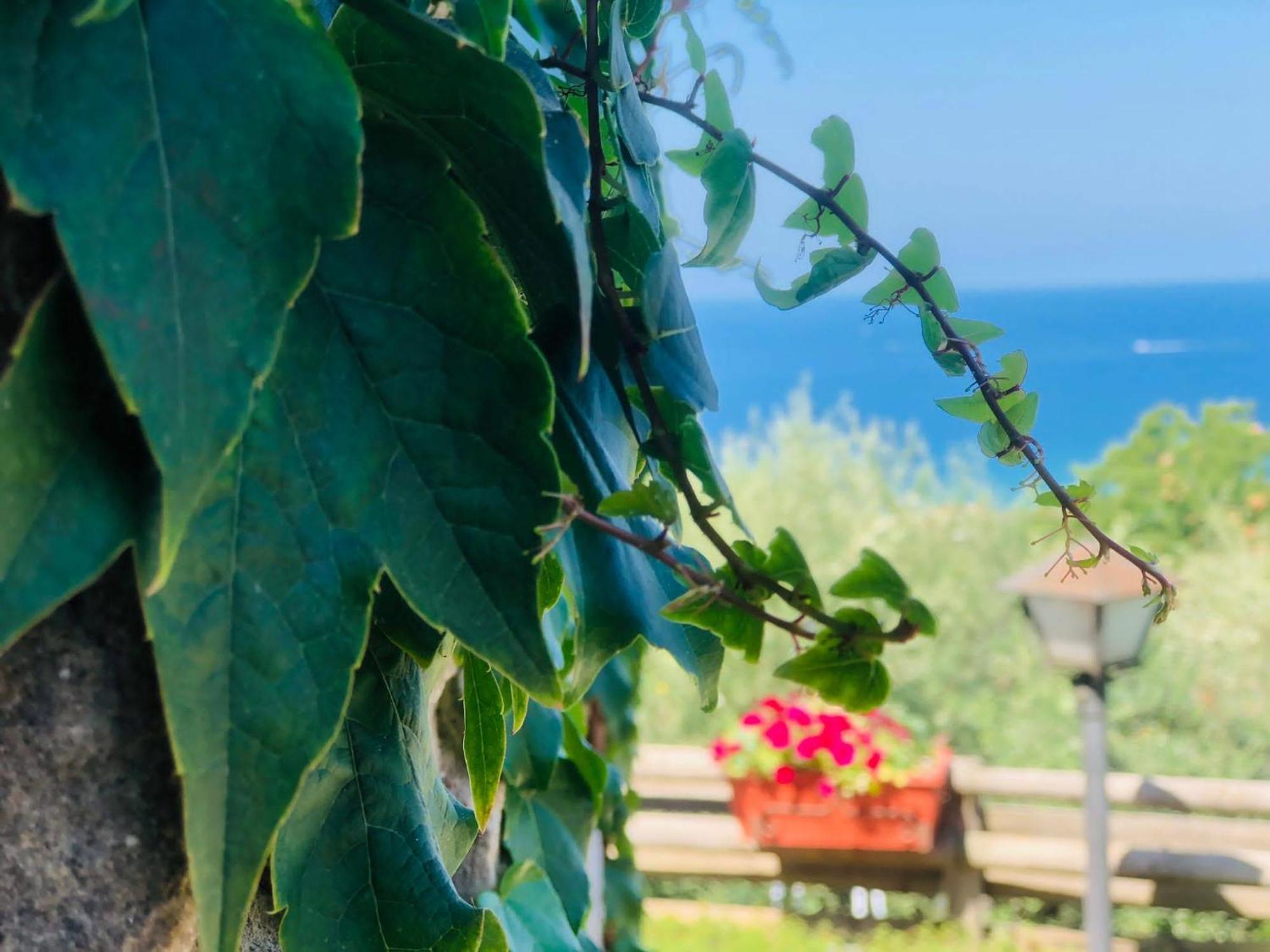 Dimora Acqua Del Fico Bed & Breakfast