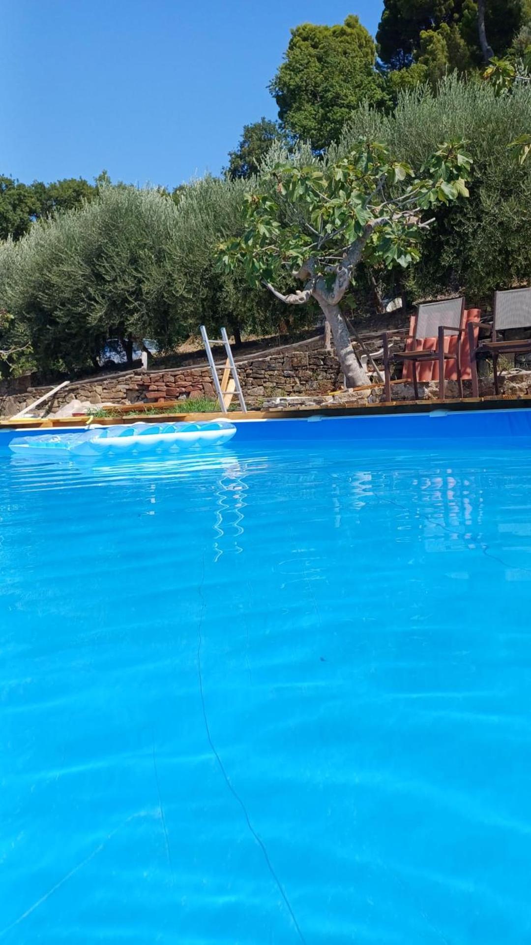 Dimora Acqua Del Fico Bed & Breakfast Castellabate