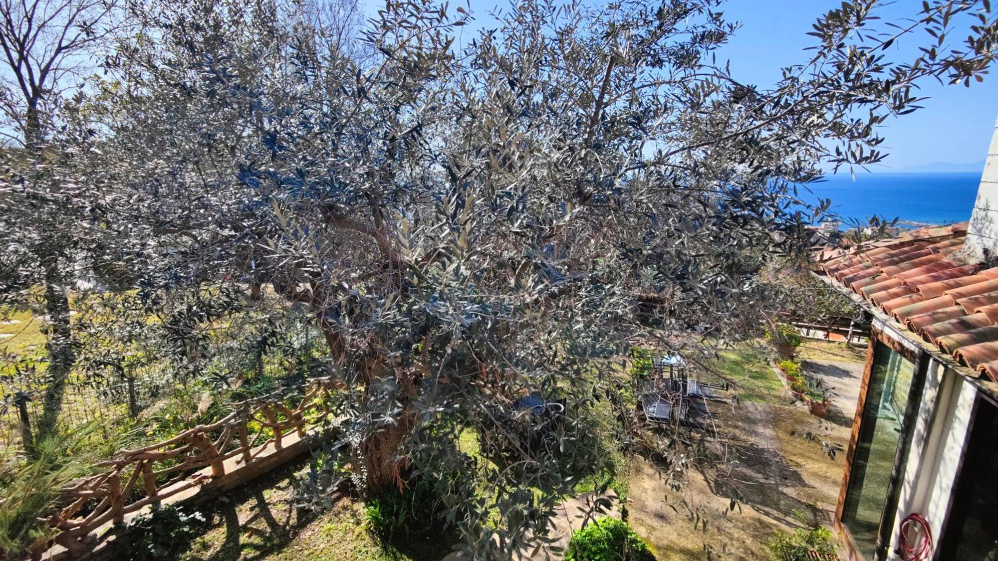 Dimora Acqua Del Fico 3*